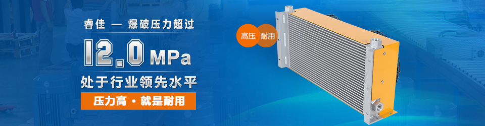 睿佳-爆表压力超过 风冷却器